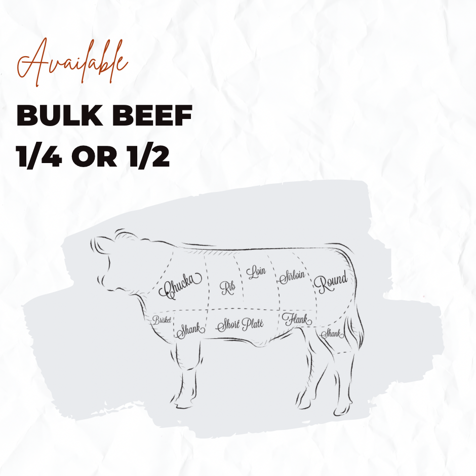 Available Bulk Beef