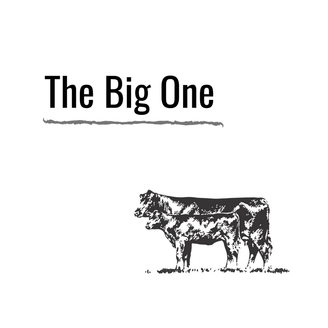 the BIG one